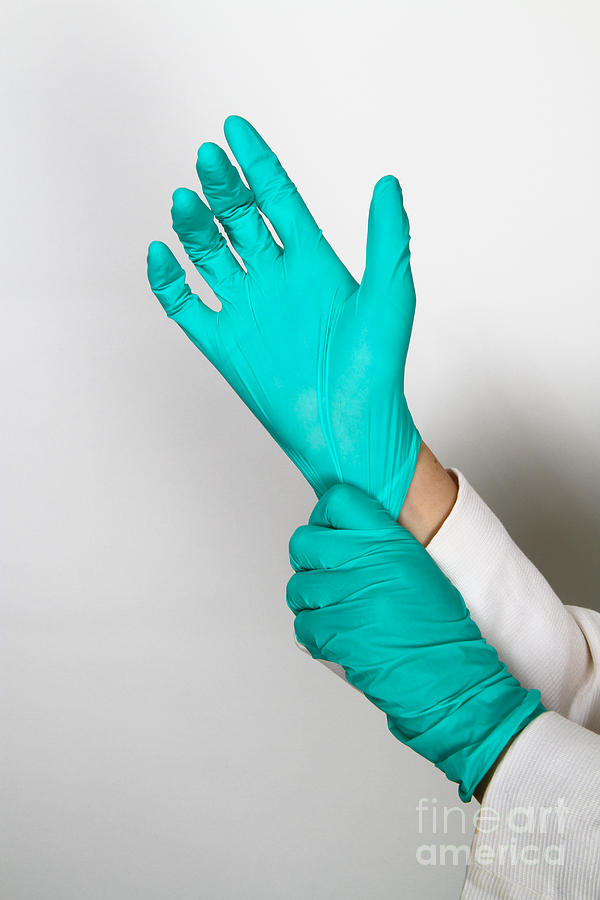 Adult Photograph - Doctor Putting On Gloves by Photo Researchers.