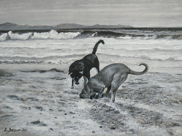 Dogs in the beach  2011 Drawing by Edvard  Sasun