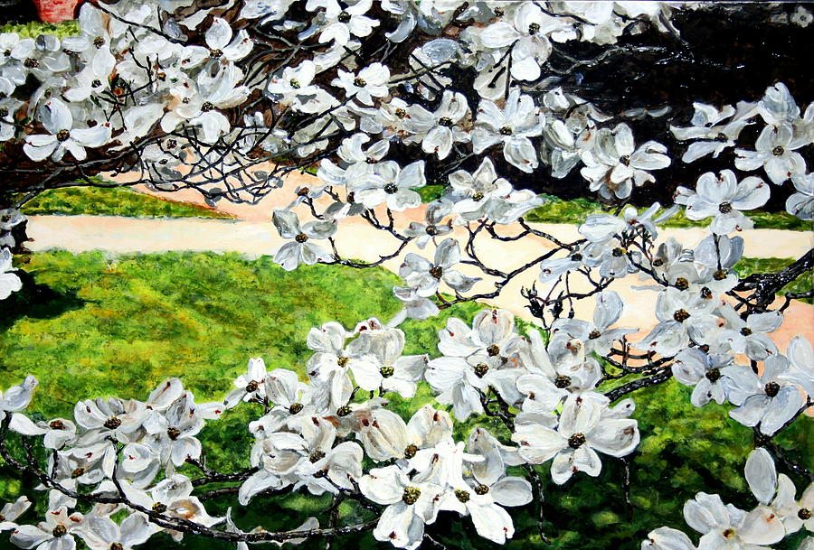 Flower Painting - Dogwood blooms in a Virginia Church Yard by Thomas Akers