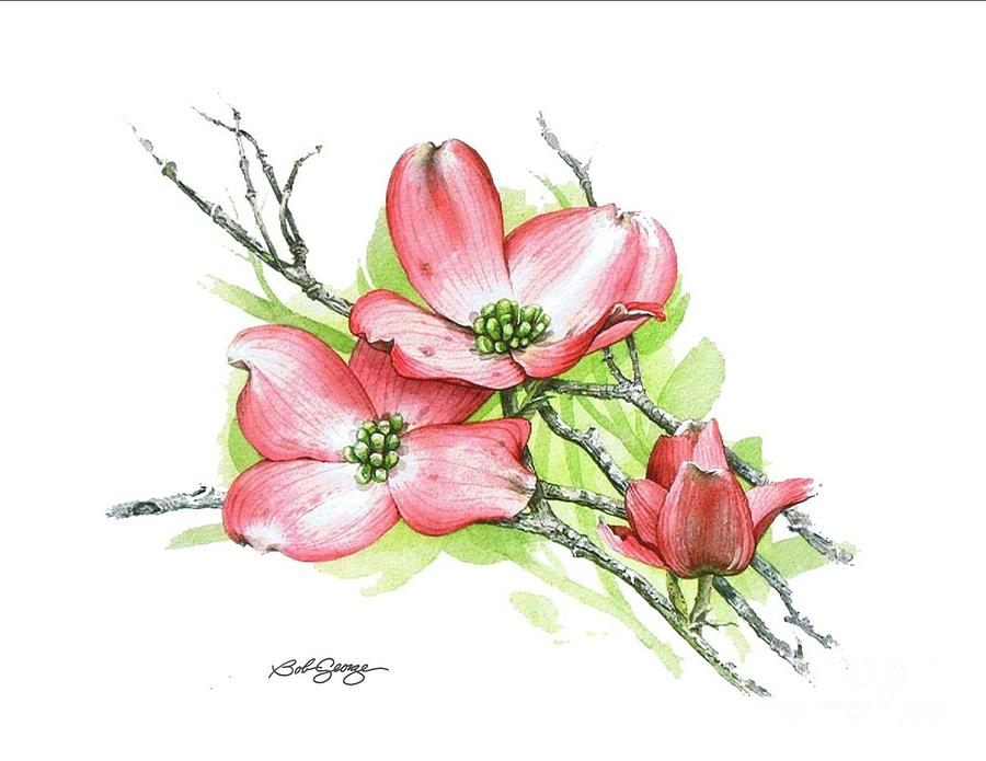 Dogwood Blossom Painting by Bob  George