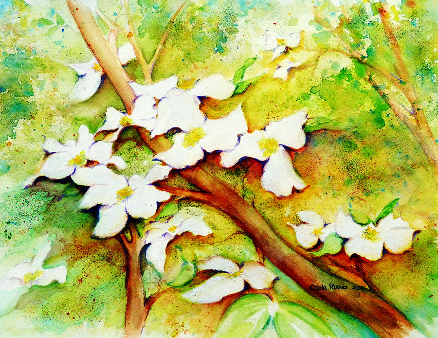 Dogwood Flowers Painting by Carla Parris