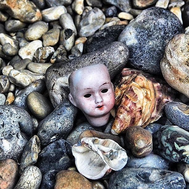 Beach Photograph - Doll n Shells by Carl Milner