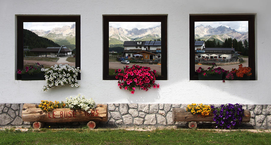 Flower Photograph - Dolomiti on spring by Celiane Osimo