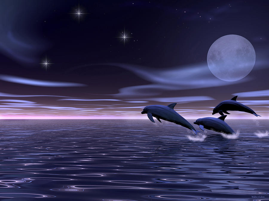 Dolphin Moon. Digital Art by Walter Colvin