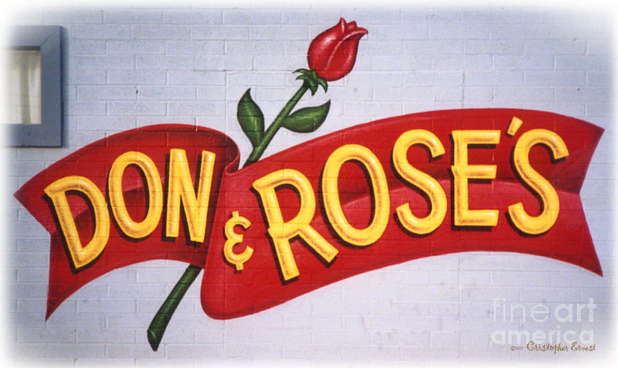 DON and ROSES Painting by Cristophers Dream Artistry