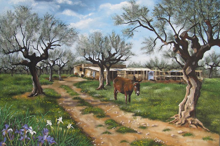 Donkey In Olive Grove With Pen Painting by Anna Poelstra Traga - Fine ...