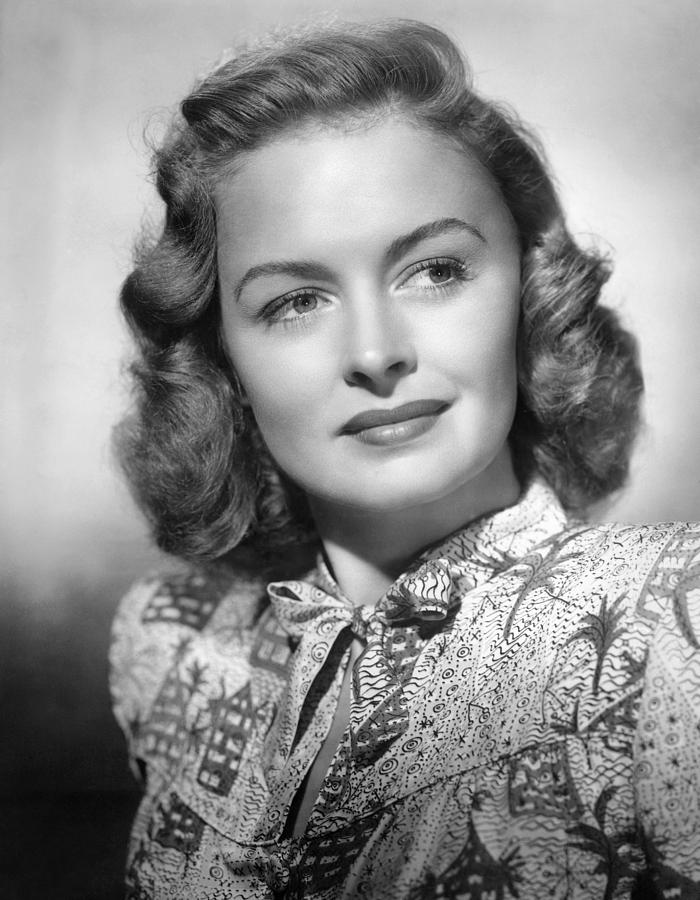 Donna Reed, Ca. 1940s Photograph by Everett - Fine Art America