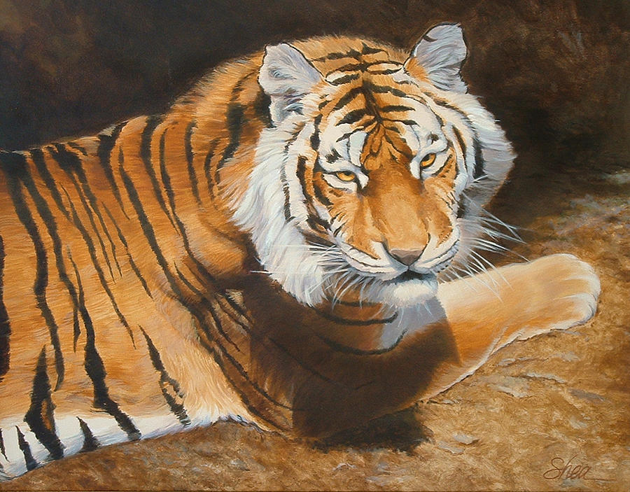 Tiger Painting - Dont Blink - Bengal Tiger by Shawn Shea