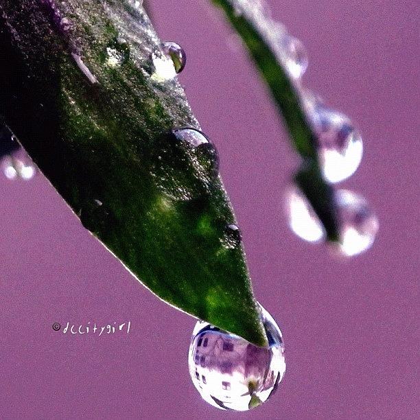 Instagram Photograph - Dont Rain On My Parade by Dccitygirl WDC