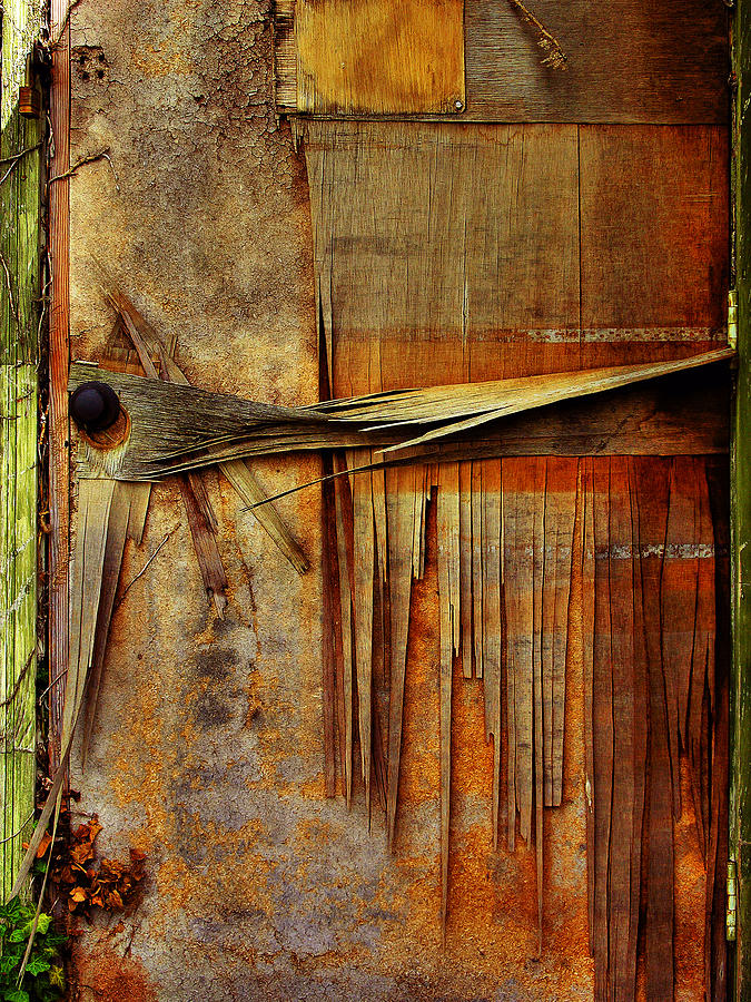 Door In Old Waterworks Building Photograph by Steven Ainsworth