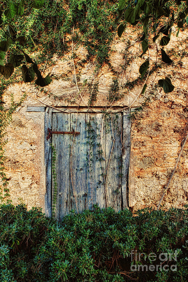 Tom Prendergast Photograph - Door in the Wall Santorini Greece by Tom Prendergast