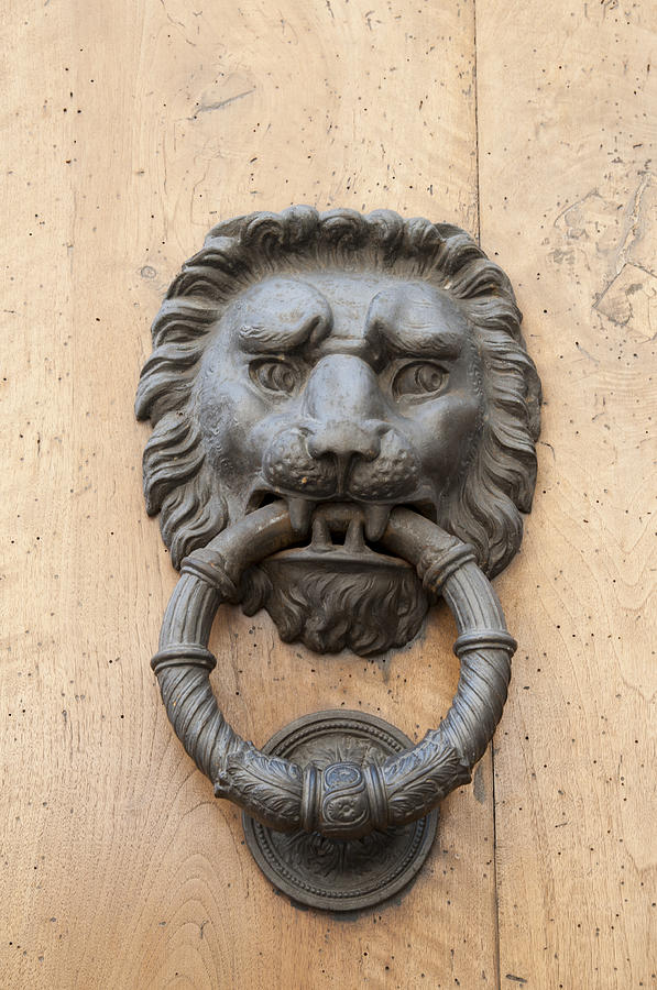 Door knocker - metal lion head Photograph by Matthias Hauser
