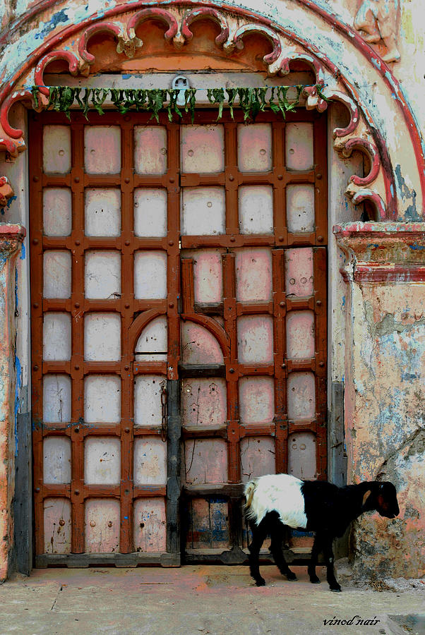 Door Way Photograph by Vinod Nair