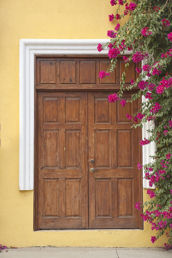 Door with Flowers Photograph by Mark Harrington