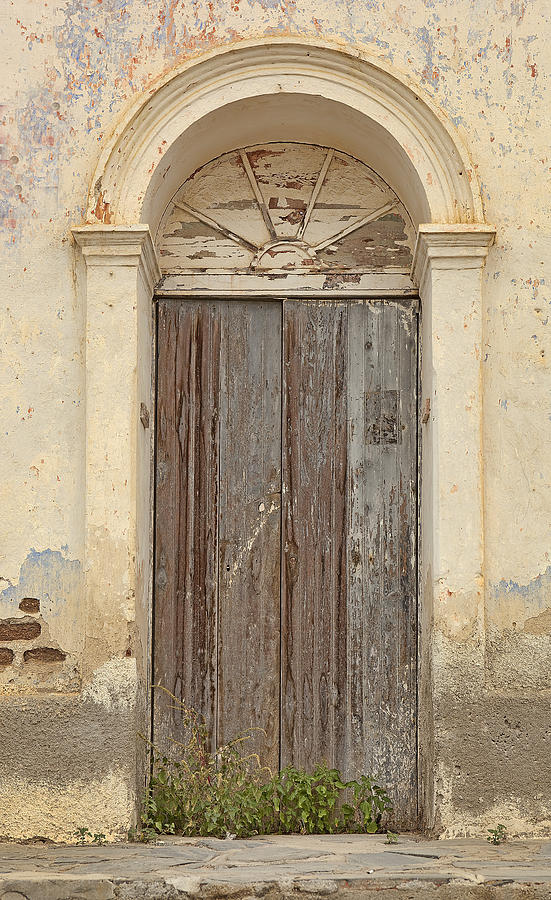 Door With Leaves Photograph by Mark Harrington