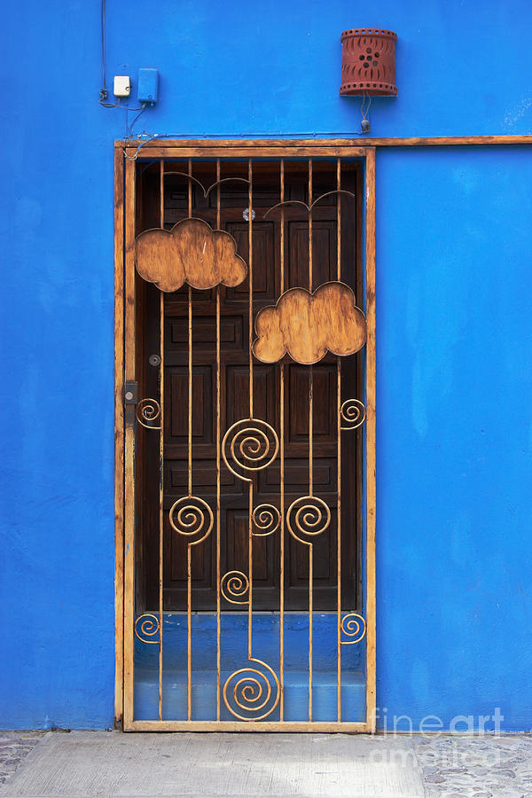 Bird Photograph - Door with Metal Bars by Susan Isakson