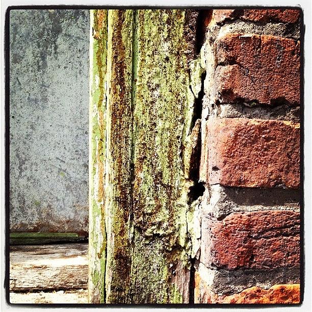 Vintage Photograph - #doorway #closeup #brick #green #trim by IKON Pennie