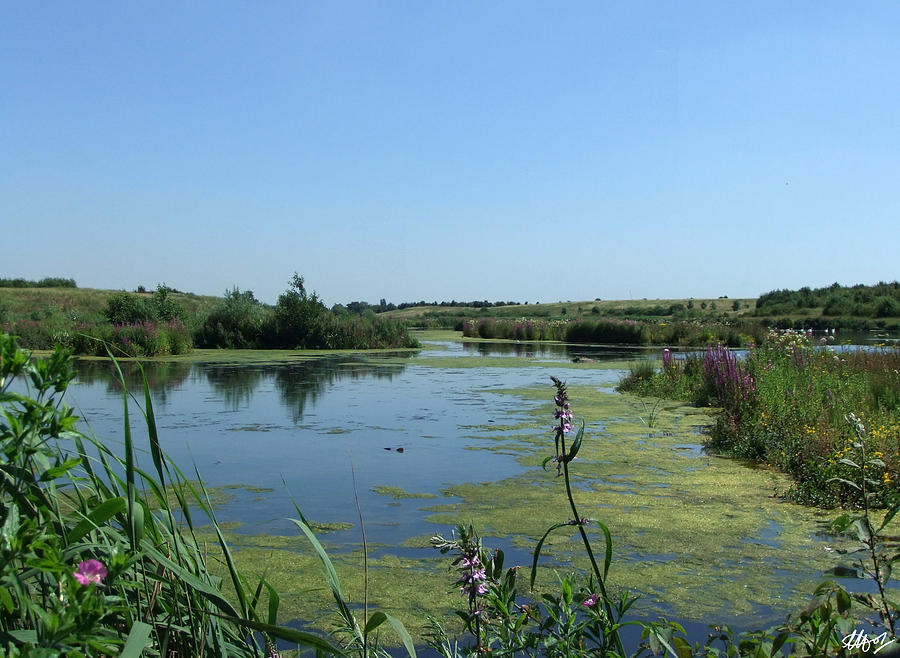 Dorney Marshes Photograph by Laura Hol Art