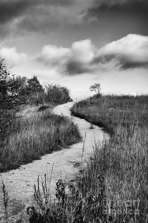 Dorothys Trail Photograph by David Waldrop