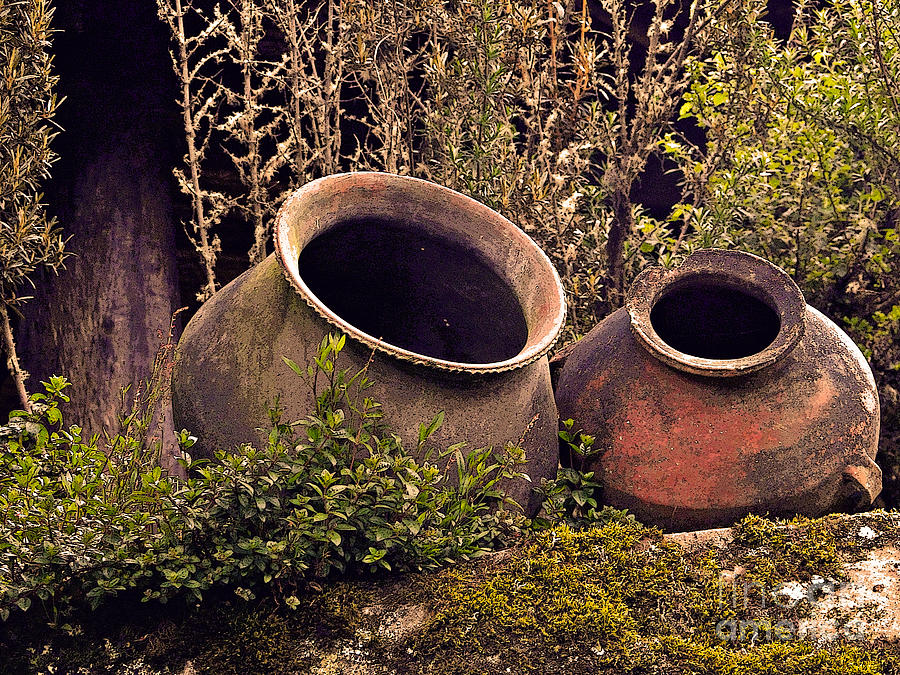 Dos Chorreras Pottery Photograph by Al Bourassa