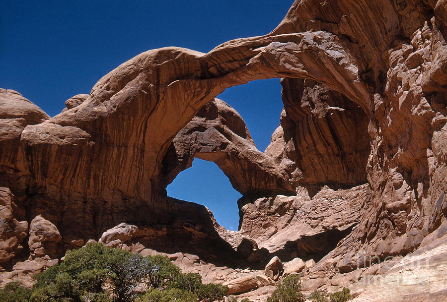 Double Arch Photograph by Photo Researchers