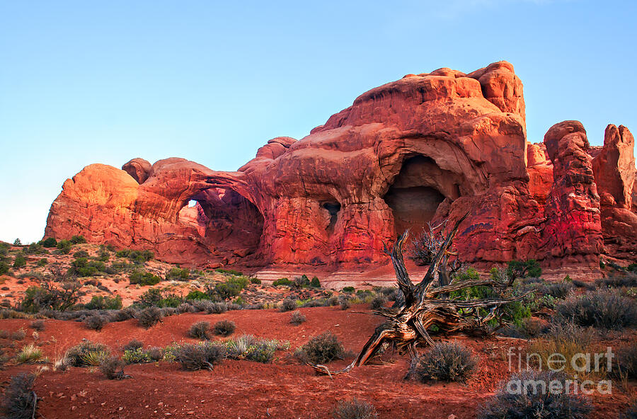 Double Arch Photograph by Robert Bales