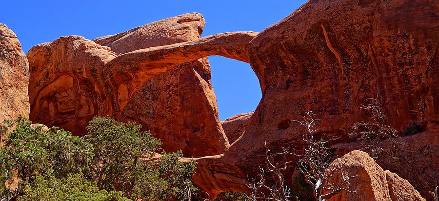 Double O Arch  Photograph by Scott McGuire