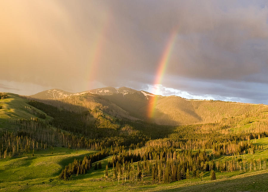 Double Rainbow Photograph by Max Waugh