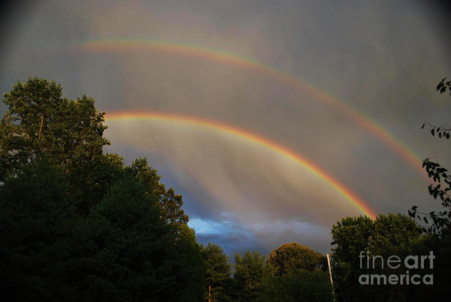 Double Rainbow Photograph by Science Source