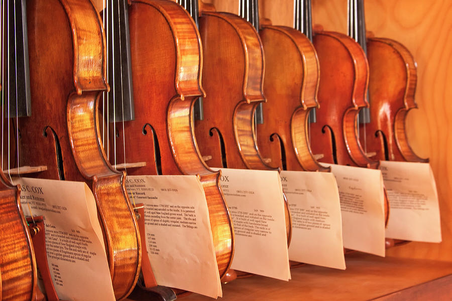 Douglas Cox Violins Photograph by Tom Singleton