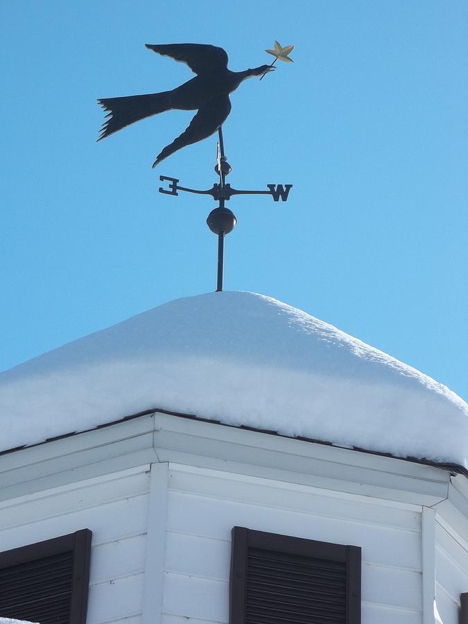 Dove Weather Vane Photograph by Anne Cameron Cutri