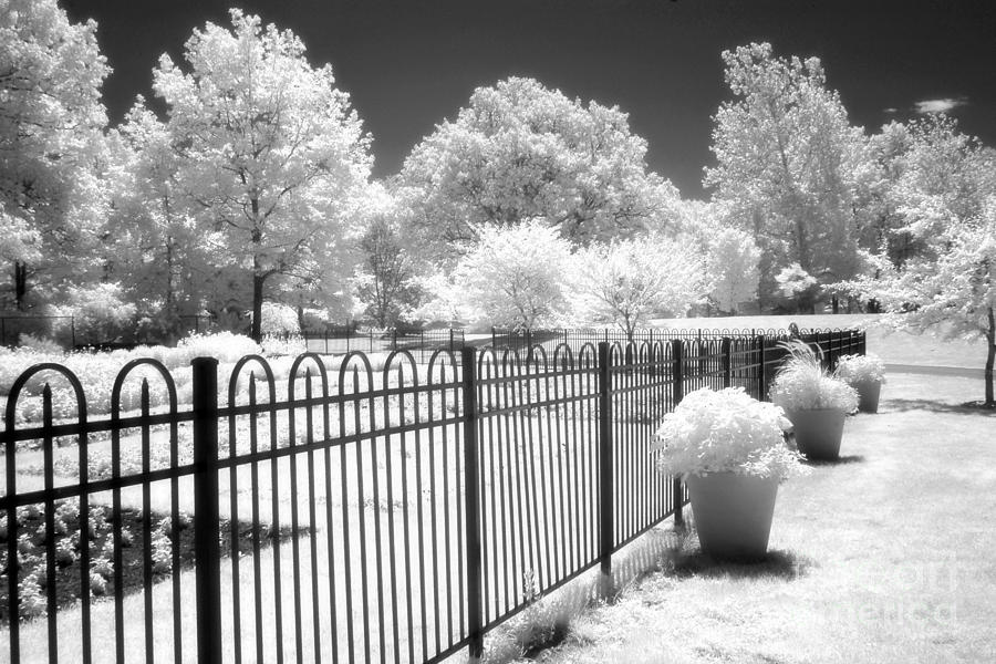 Dow Gardens Photograph - Dow Gardens Infrared Michigan Landscape Fine Art by Kathy Fornal
