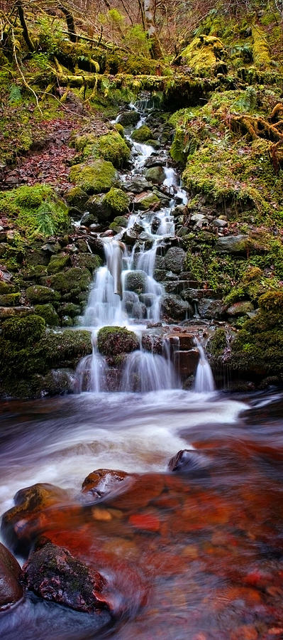 Reelig Glen Waterfall Photograph by Joe Macrae