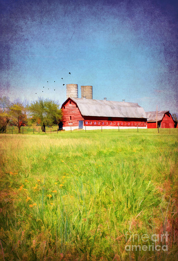 Down on the farm in Bardstown Photograph by Darren Fisher - Fine Art ...