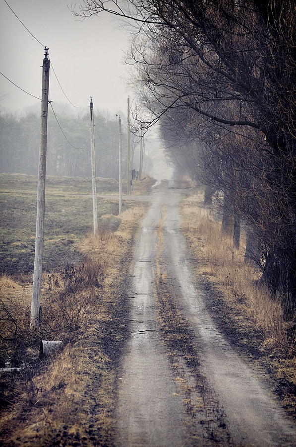 Down the lane Photograph by Alan Norsworthy