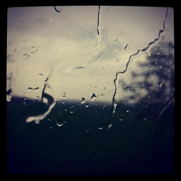 Nature Photograph - Downpours Thru The Bus Window! by Dahlia Ambrose