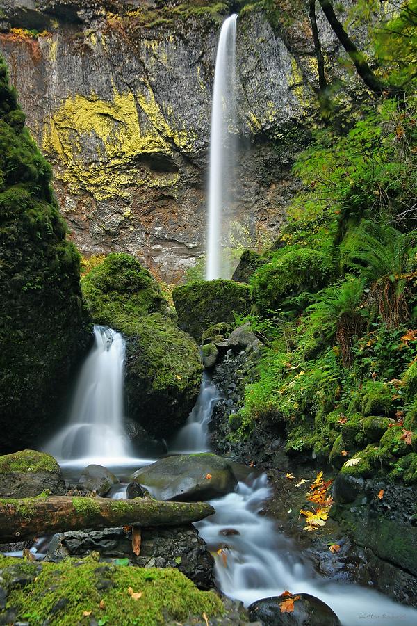 Downstream Photograph by Winston Rockwell - Fine Art America