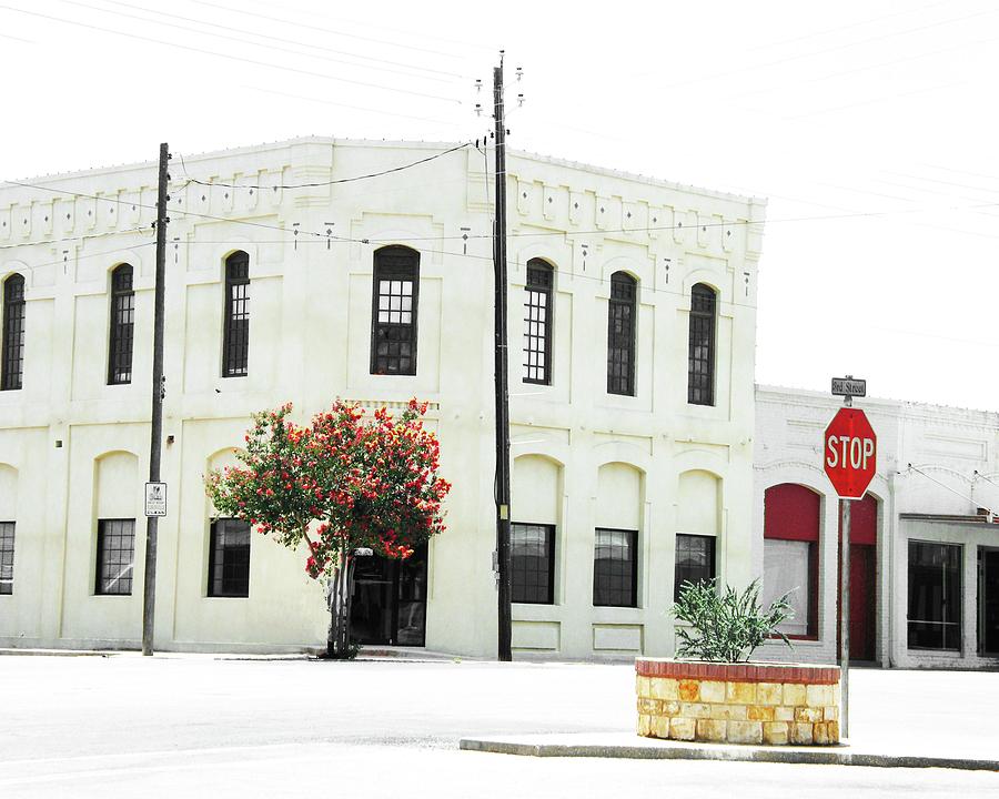 Downtown Flouresville Texas Digital Art by Lizi Beard-Ward