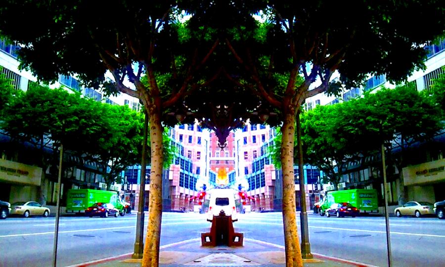 Tree Photograph - Downtown by Rogal Studio