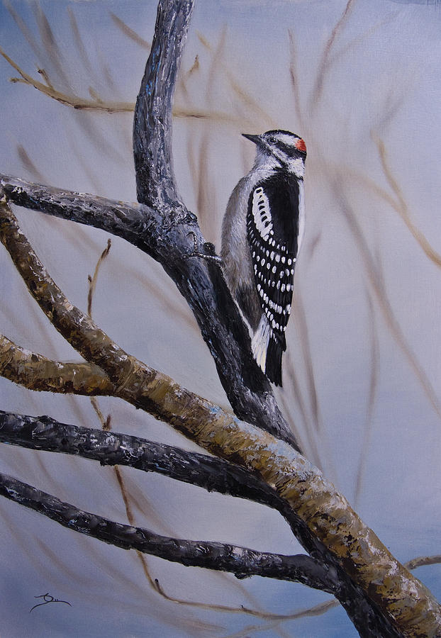 Woodpecker Painting - Downy Woodpecker by Dee Carpenter
