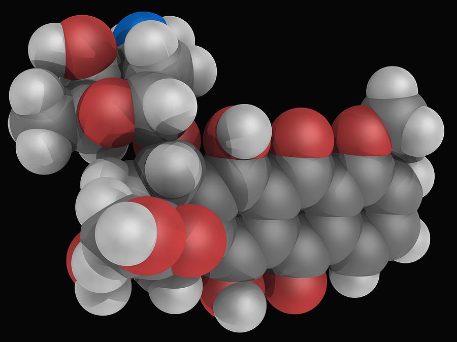 Doxorubicin Drug Molecule Digital Art by Laguna Design