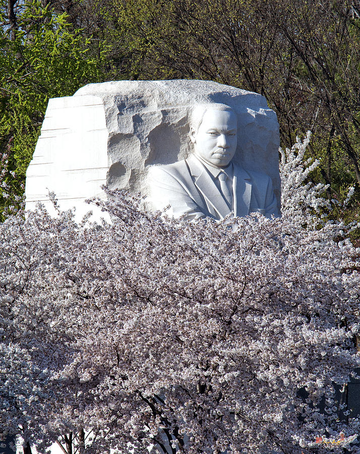 Dr Martin Luther King Jr Memorial DS053 Photograph by Gerry Gantt