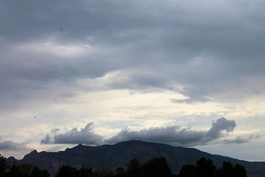 Mountain Photograph - Dragon Cloud by Kathleen Nash