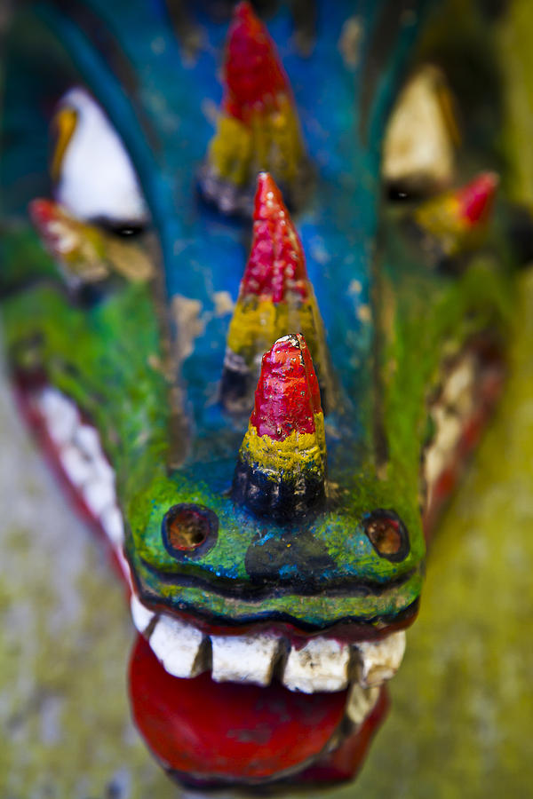 Dragon mask Photograph by John Bartosik