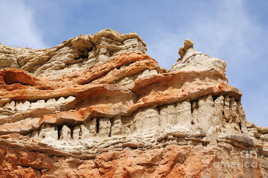 Dragon Smile Photograph by Vivian Christopher - Fine Art America