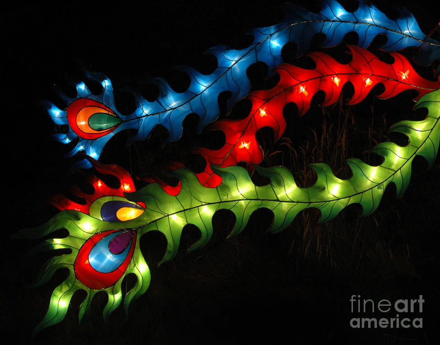 Dragon Tails Photograph by Vivian Christopher