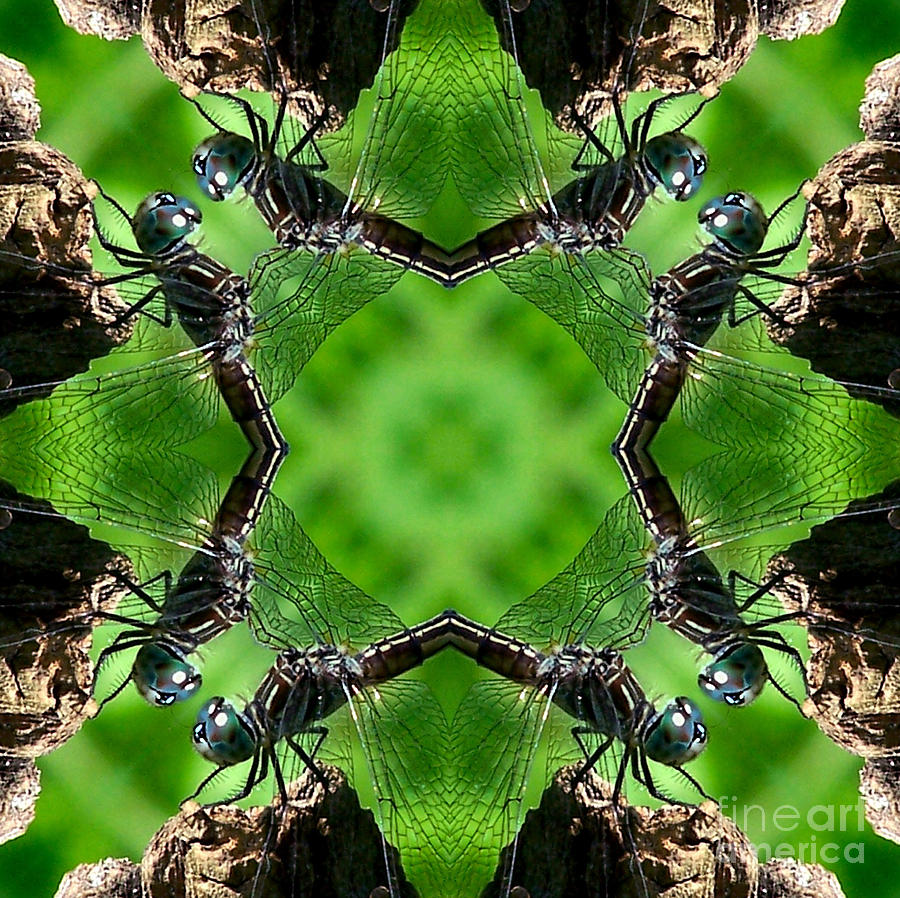 Dragonfly Kaleidoscope Digital Art by Smilin Eyes Treasures
