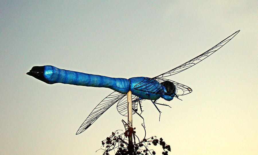 Dragonfly Sculpture Photograph by Nick Kloepping