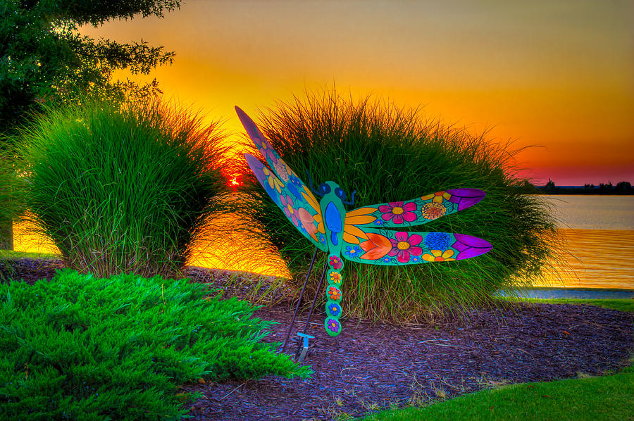 Sunset Photograph - Dragonfly Sunset by Bobby Martin