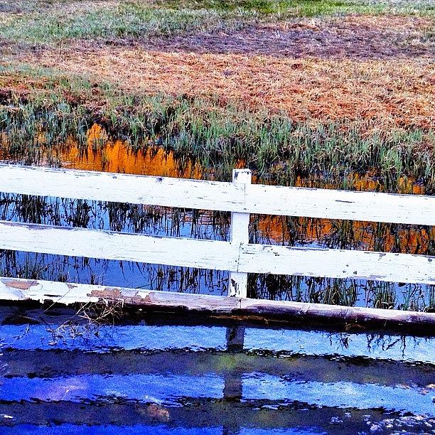 Landscape Photograph - Drainage Ditch On The Meadow by Marguerite Spieker